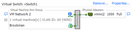 Конфигурация магистрали vSwitch