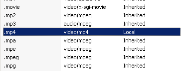 MIMP-тип mp4 в графическом интерфейсе iis