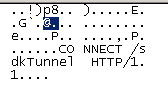 CONNECT / sdkTunnel HTTP / 1.1