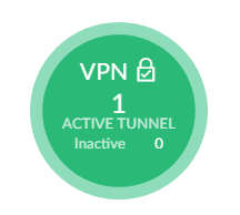 UniFi VPN Status